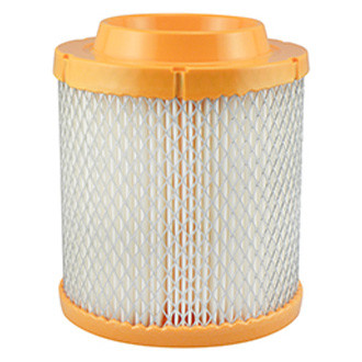 Baldwin Filters® - Air Filter Element