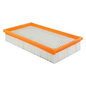 Baldwin Filters® - Air Filter Element