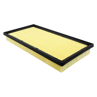 Baldwin Filters® - Air Filter Element