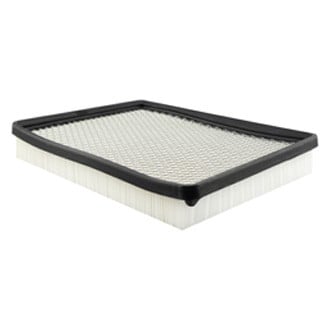 Baldwin Filters® - Panel Air Filter