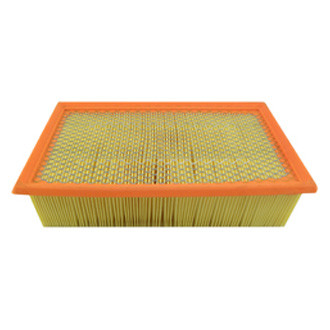 Baldwin Filters® - Air Filter Element