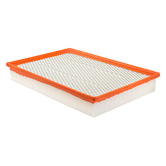 Baldwin Filters® - Air Filter Element