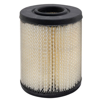 Baldwin Filters® - Radial Seal Air Filter