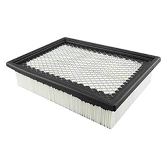 Baldwin Filters® - Air Filter Element