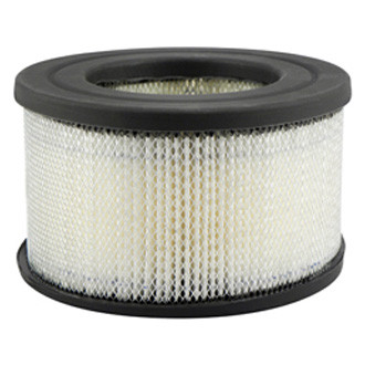 Baldwin Filters® - Air Filter Element