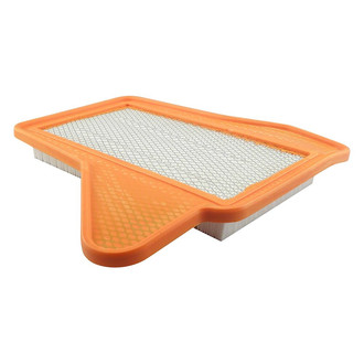 Baldwin Filters® - Air Filter Element