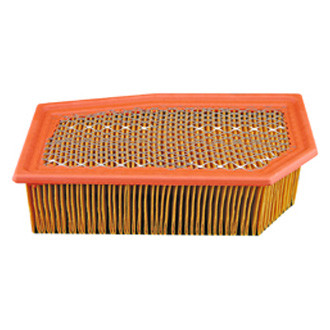 Baldwin Filters® - Panel Air Filter