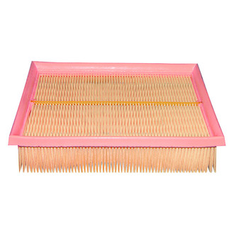 Baldwin Filters® - Air Filter Element
