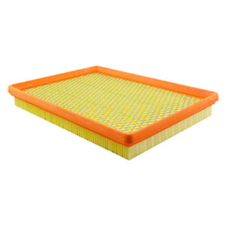 Baldwin Filters® - Air Filter Element