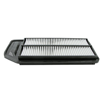 Baldwin Filters® - Air Filter Element
