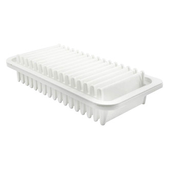 Baldwin Filters® - Radial Seal Air Filter