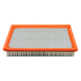 Baldwin Filters® - Air Filter Element