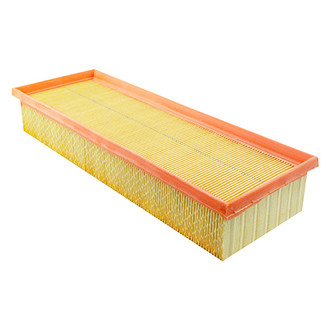 Baldwin Filters® - Air Filter Element