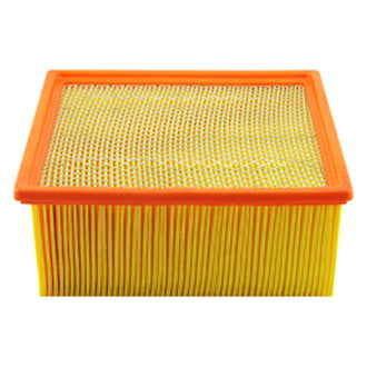 Baldwin Filters® - Panel Air Filter