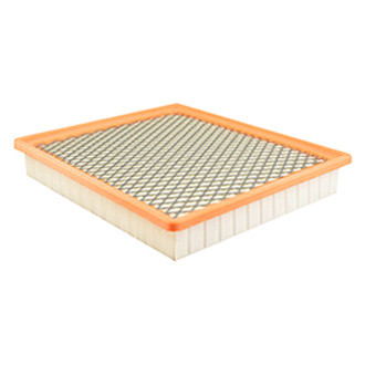 Baldwin Filters® - Air Filter Element