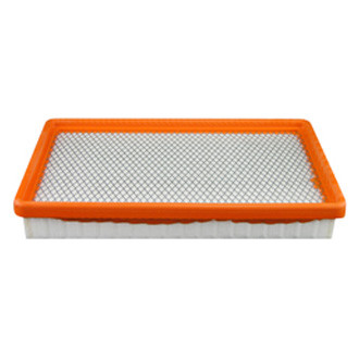 Baldwin Filters® - Air Filter Element