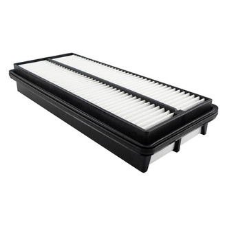 Baldwin Filters® - Radial Seal Air Filter
