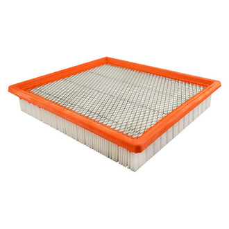 Baldwin Filters® - Air Filter Element