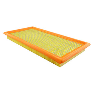 Baldwin Filters® - Panel Air Filter
