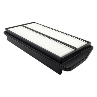 Baldwin Filters® - Radial Seal Air Filter