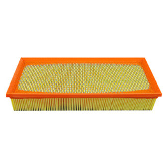 Baldwin Filters® - Air Filter Element