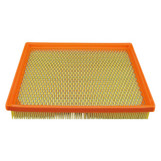 Baldwin Filters® - Air Filter Element