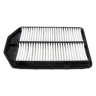 Baldwin Filters® - Radial Seal Air Filter