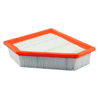 Baldwin Filters® - Air Filter Element