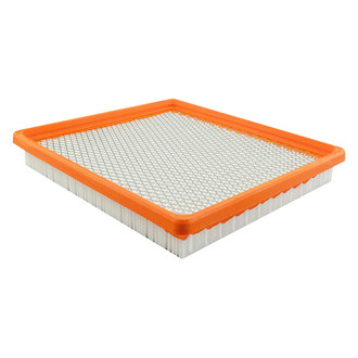 Baldwin Filters® - Air Filter Element