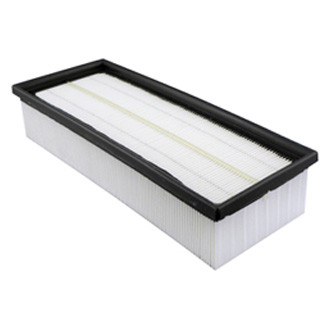 Baldwin Filters® - Panel Air Filter