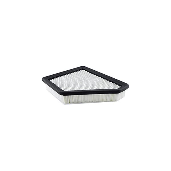 Baldwin Filters® - Air Filter Element with Felt Pad