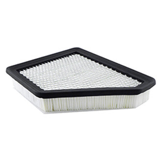 Baldwin Filters® - Air Filter Element with Felt Pad
