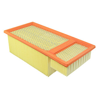 Baldwin Filters® - Air Filter Element