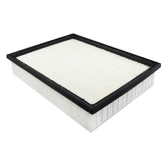 Baldwin Filters® - Panel Air Filter