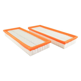 Baldwin Filters® - Radial Seal Air Filter