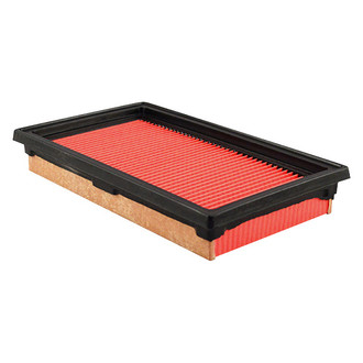 Baldwin Filters® - Air Filter Element