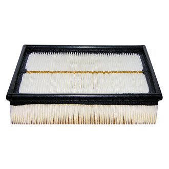 Baldwin Filters® - Radial Seal Air Filter