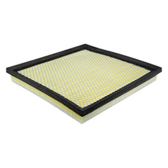 Baldwin Filters® - Panel Air Filter