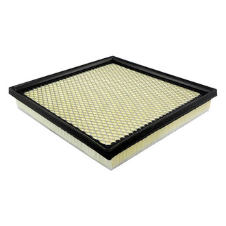 Baldwin Filters® - Radial Seal Air Filter