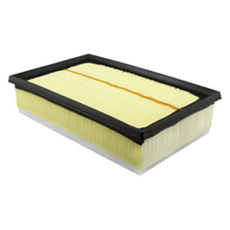 Baldwin Filters® - Air Filter Element with Foam Pad
