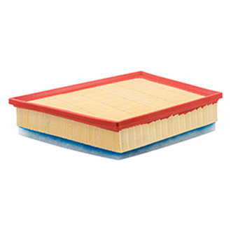 Baldwin Filters® - Air Filter Element with Foam Pad