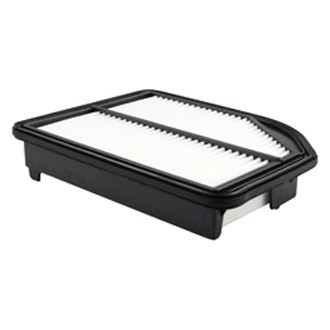 Baldwin Filters® - Air Filter Element
