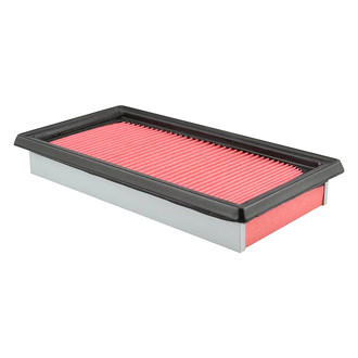 Baldwin Filters® - Channel Flow Primary Air Filter Element