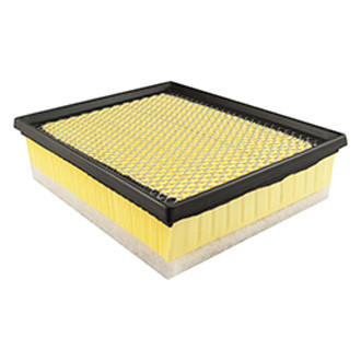 Baldwin Filters® - Air Filter Element with Foam Pad