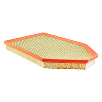 Baldwin Filters® - Panel Air Filter