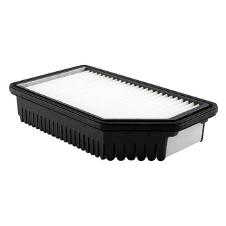 Baldwin Filters® - Radial Seal Air Filter
