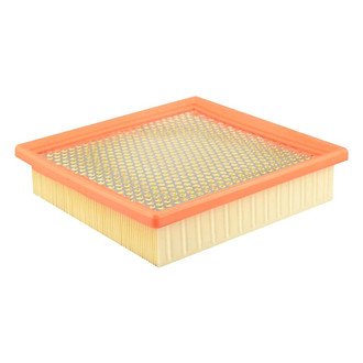 Baldwin Filters® - Radial Seal Air Filter