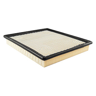Baldwin Filters® - Panel Air Filter