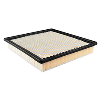 Baldwin Filters® - Panel Air Filter