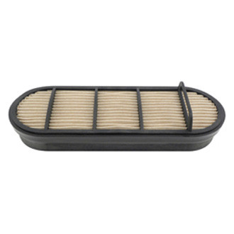 Baldwin Filters® - Channel Flow Air Filter Element